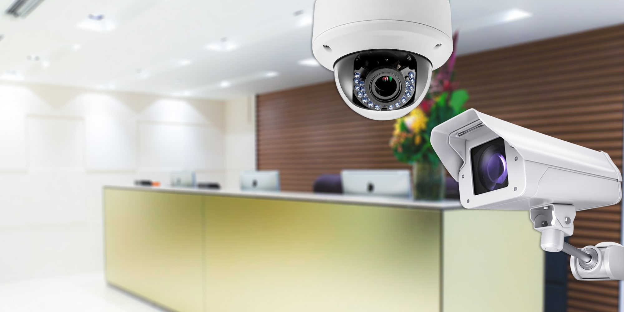 surveillance system, camera, cctv